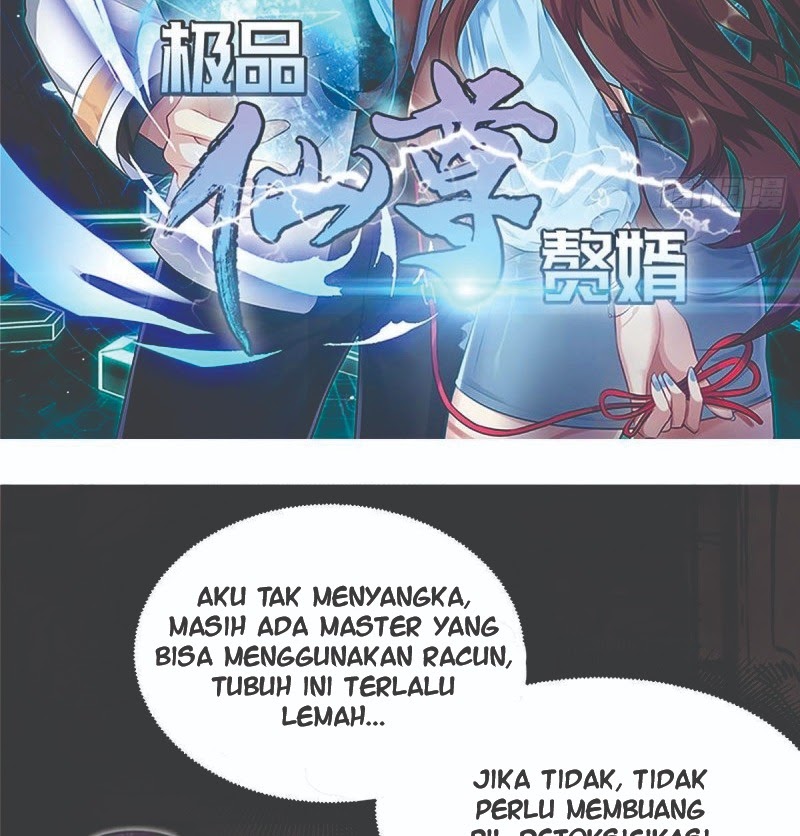 Rebirth Into the Strongest Immortal Cultivator chapter 48